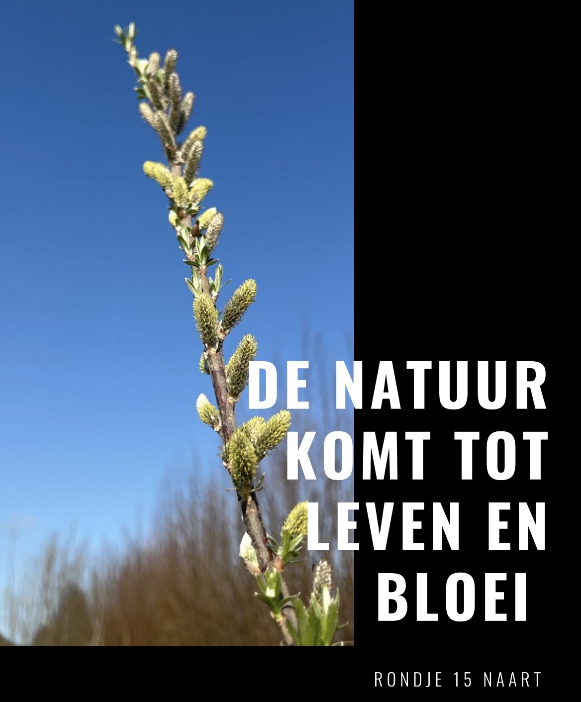 🌈 De natuur komt tot leven en bloei 🍀