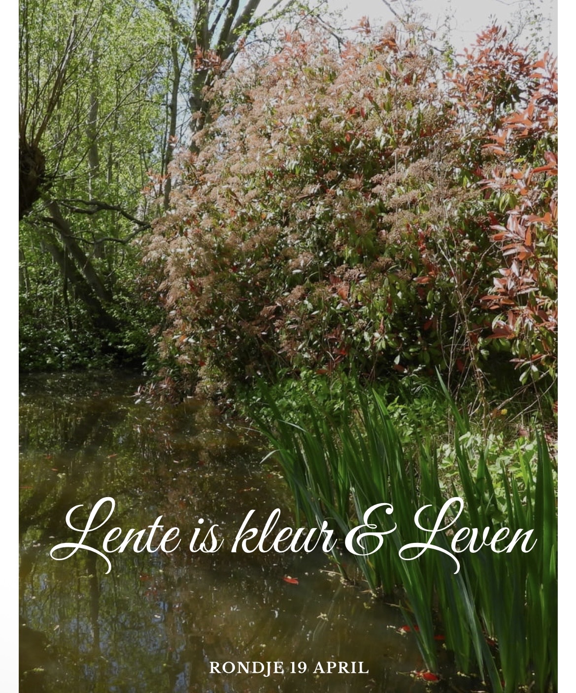 Lente is kleurig & levendig